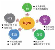 iqpr水體修復(fù)技術(shù) 展會新聞 第1張