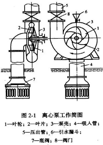 給（gei）水泵、給（ji）水泵別再傻傻分不清楚（內(nèi)含動(dòng)畫(huà)） 行業(yè)熱點(diǎn) 第4張