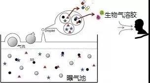 污水廠內(nèi)的生物氣溶膠，污水從業(yè)人員必讀 新聞資訊 第2張