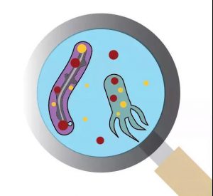 污水廠內(nèi)的生物氣溶膠，污水從業(yè)人員必讀 新聞資訊 第3張