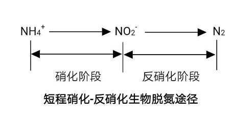 生化法除氨氮的技術(shù)匯總！ 新聞資訊 第3張