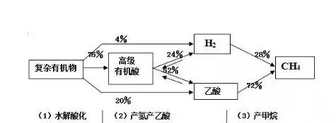 為什么你的厭氧反應(yīng)器會出現(xiàn)泡沫、化學(xué)沉淀等不良現(xiàn)象？ 新聞資訊 第1張