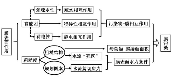 高壓膜表面性質(zhì)對膜污染的影響機(jī)制 新聞資訊 第1張