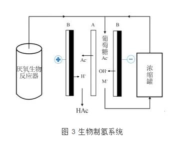 雙極膜電滲析技術(shù)的研究進展 新聞資訊 第3張