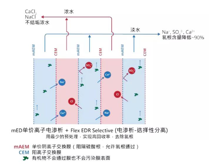 電滲析技術還能這么用！ 新聞資訊 第2張