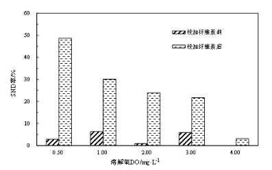 纖維素對污水生物處理系統(tǒng)性能的影響及機理分析 新聞資訊 第6張