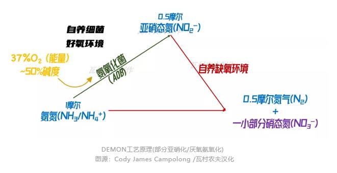 彎路變捷徑！美國首個主流anammox污水廠2023年面世？ 新聞資訊 第1張