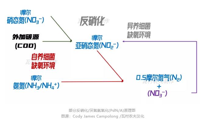 彎路變捷徑！美國首個主流anammox污水廠2023年面世？ 新聞資訊 第2張