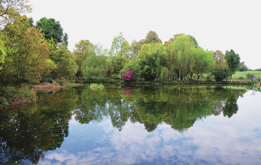 中國(guó)水環(huán)境這座再生水廠的地上與地下都有什么？ 行業(yè)熱點(diǎn) 第3張