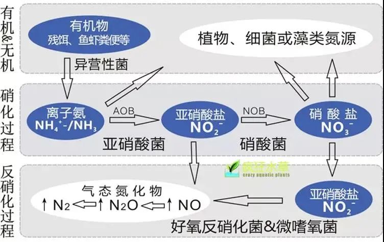 流體展|面對低濃度氨氮工業(yè)廢水束手無策？這幾種方法可以解決 行業(yè)熱點 第3張