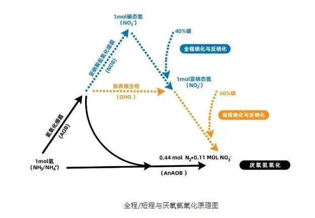 流體展|面對低濃度氨氮工業(yè)廢水束手無策？這幾種方法可以解決 行業(yè)熱點 第5張